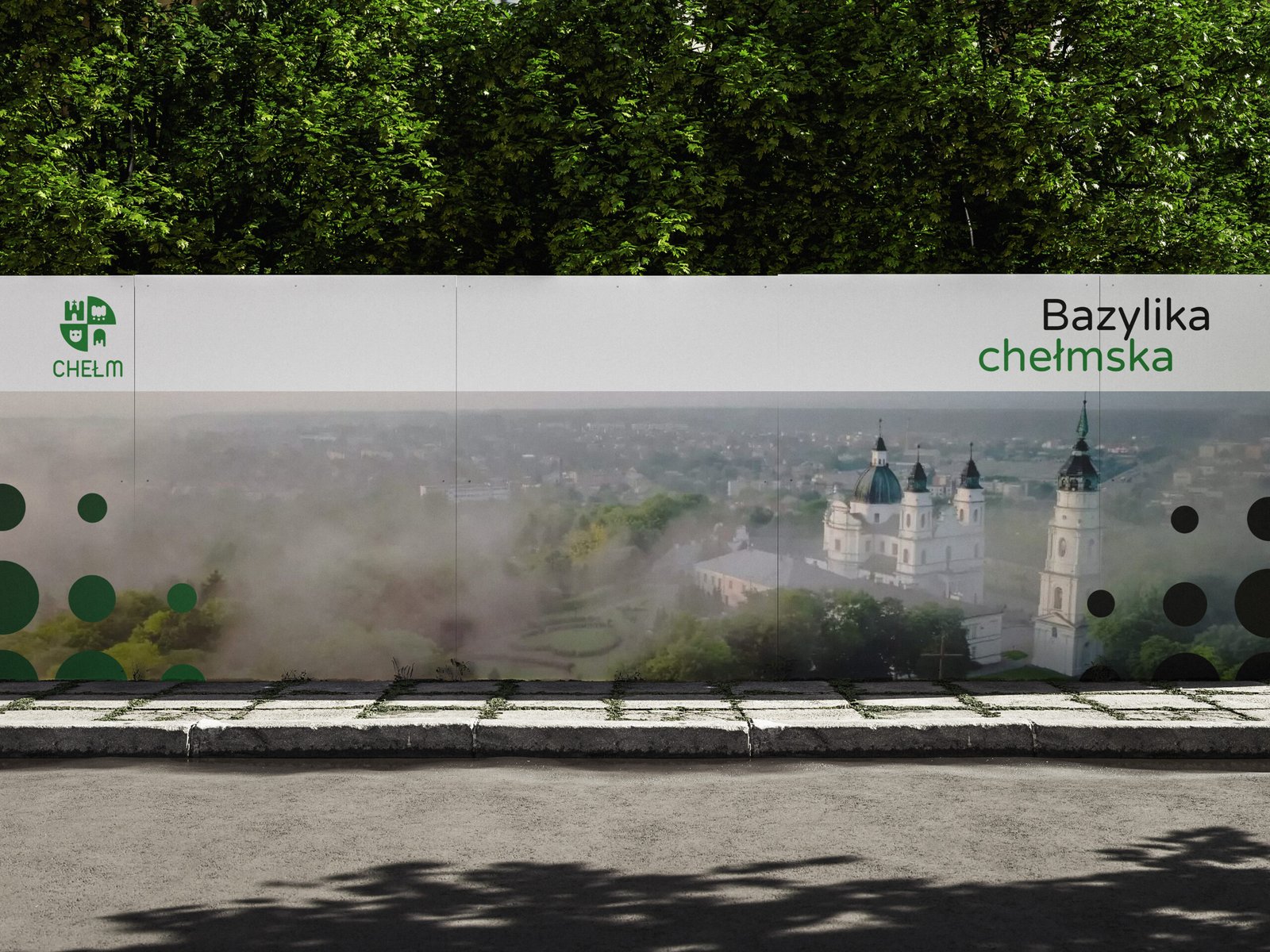 bazyl